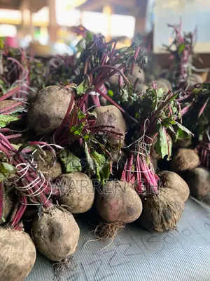Organic Food and Vegetables