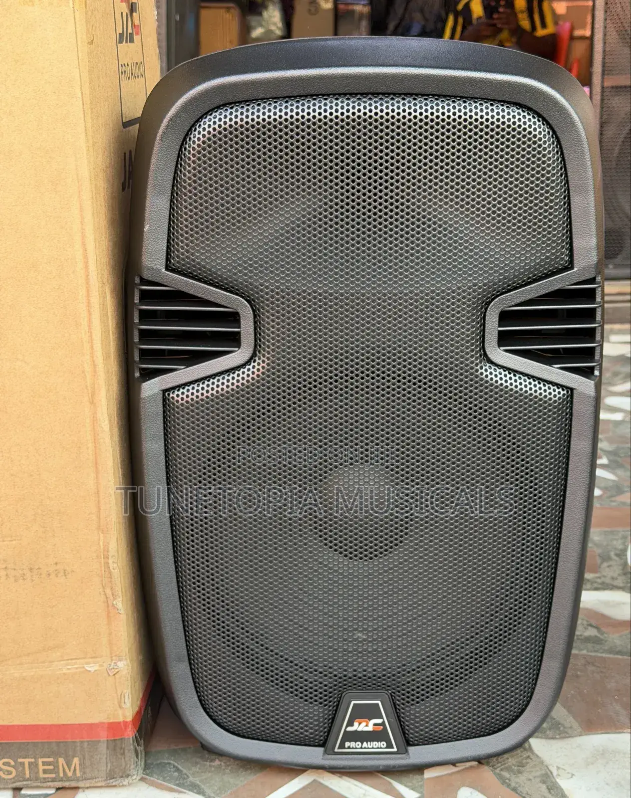 Jac-12 12inches Portable Bluetooth Pa Speaker With 2microphone