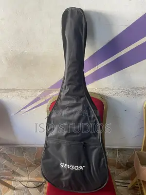 Acoustic Guitar