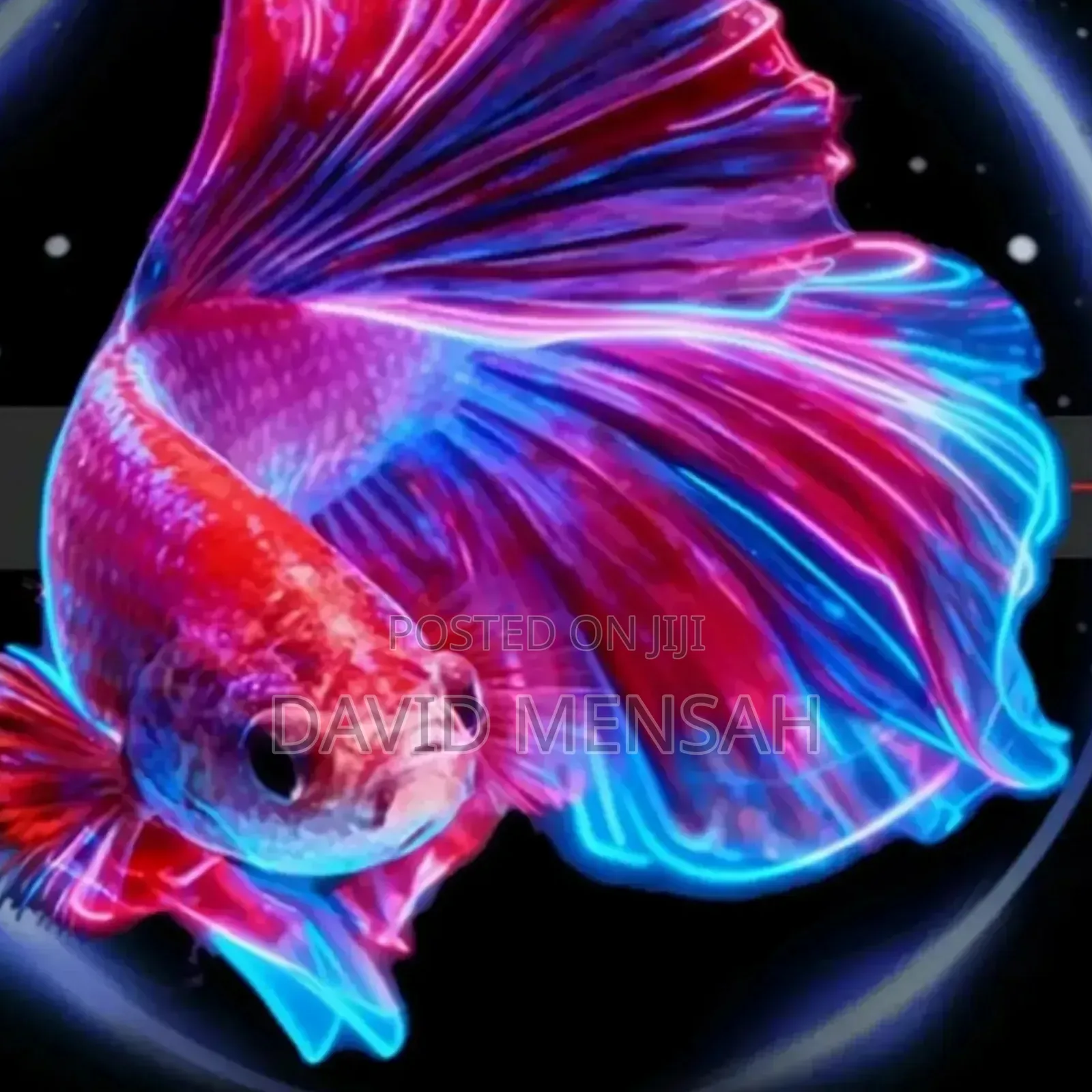 Hologram Projector or Screen