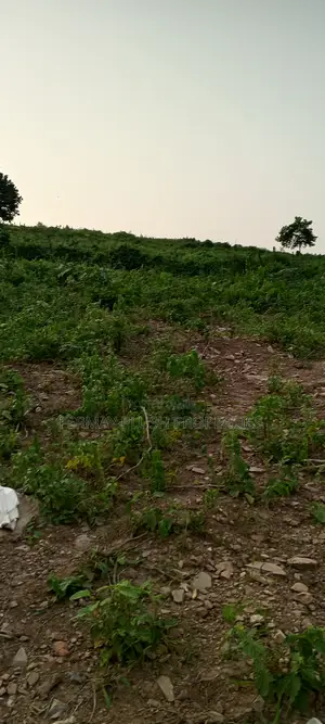 Land Title Land for Sale at Oyarifa