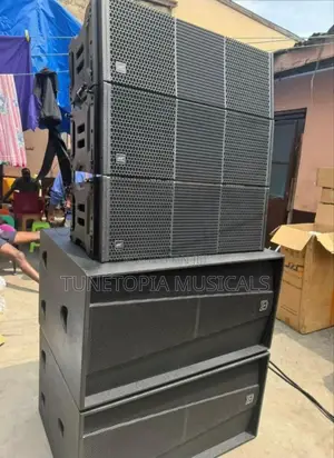 Martins Audio Pair Of Bass And 3pieces 12inches Jac Line Array
