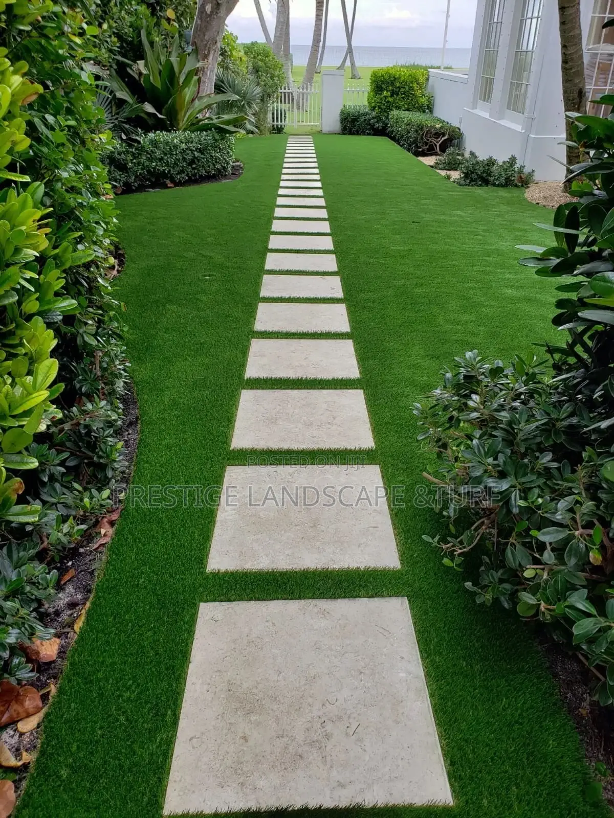 Grass Carpet