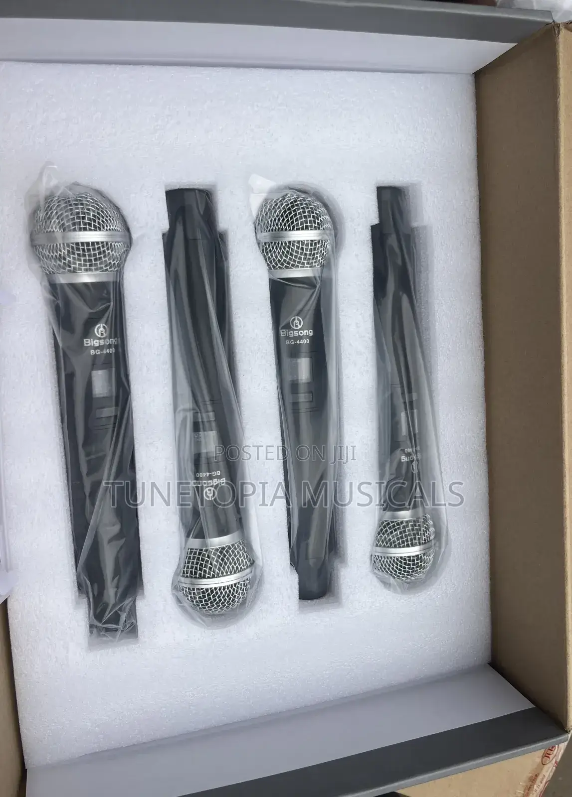 Bigsong Bg-4400 4-in-1 Professional Wireless Microphone