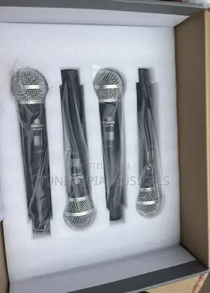 Bigsong Bg-4400 4-in-1 Professional Wireless Microphone