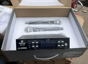 Bigsong Bg-4400 4-in-1 Professional Wireless Microphone