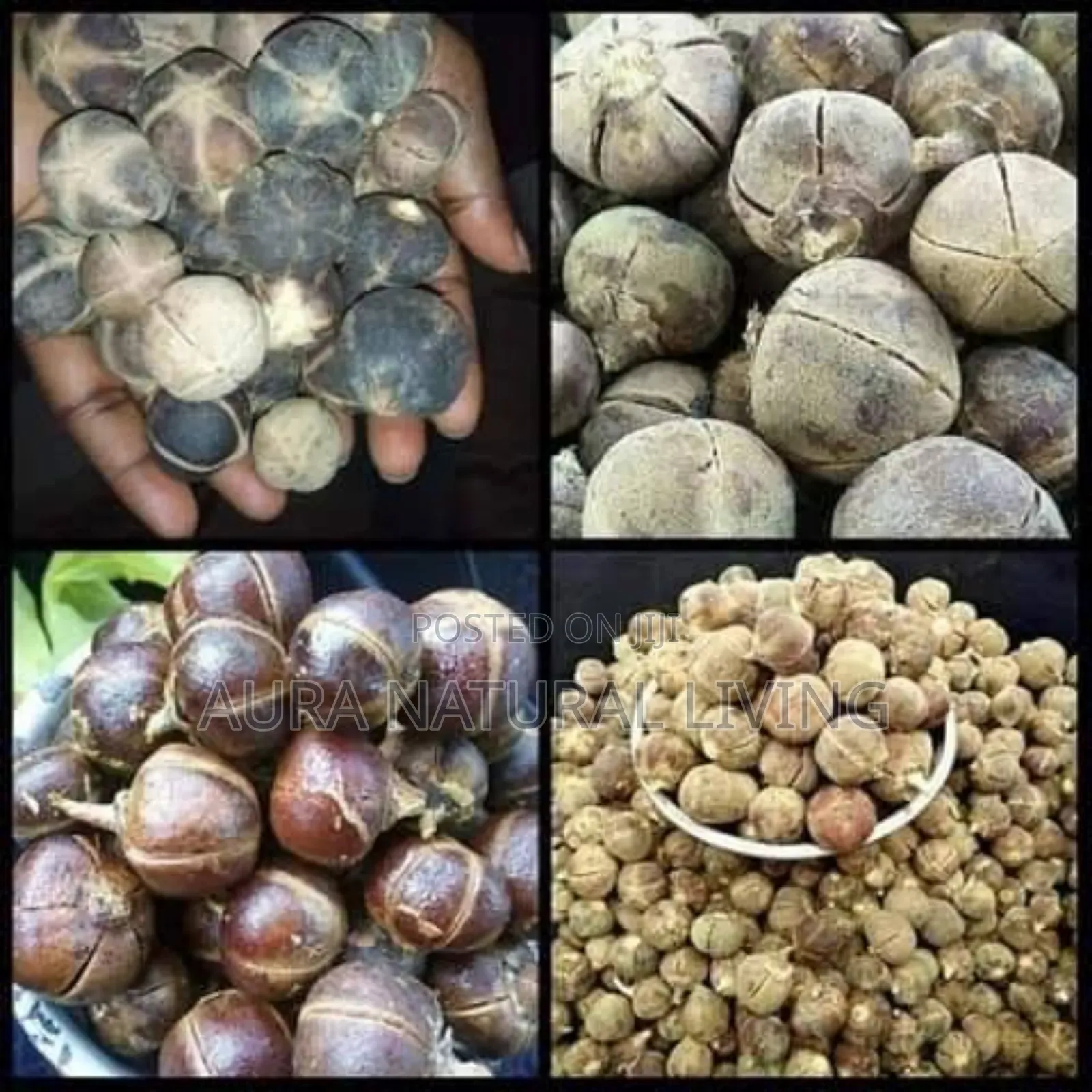 Goron Tula Fruit (Snot Apple) 100g