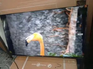TCL 43" Smart Entertainment TCL Tv