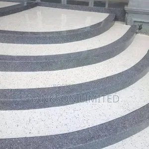Floor and Wall Terrazzo