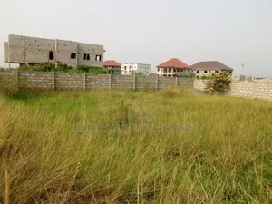 Elegant-Classy Land - Katamanso