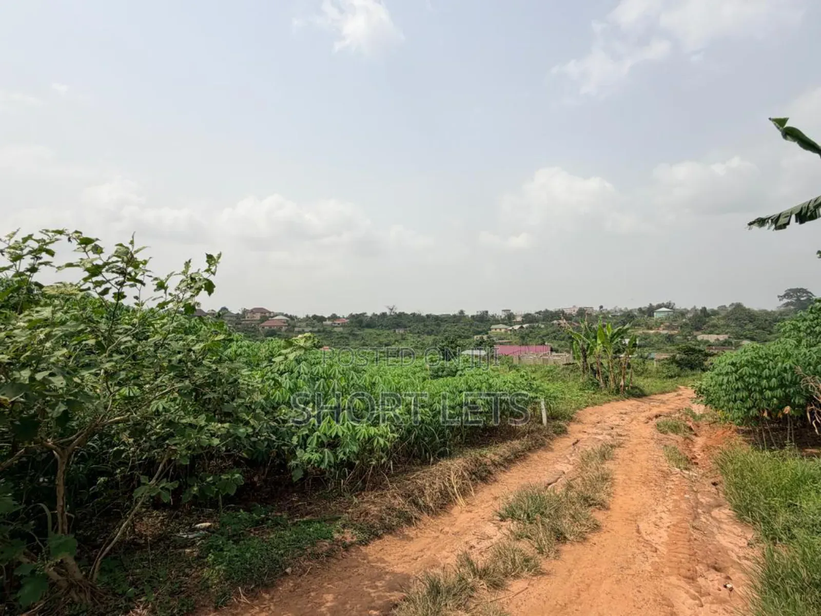 Land in Media, Samsam