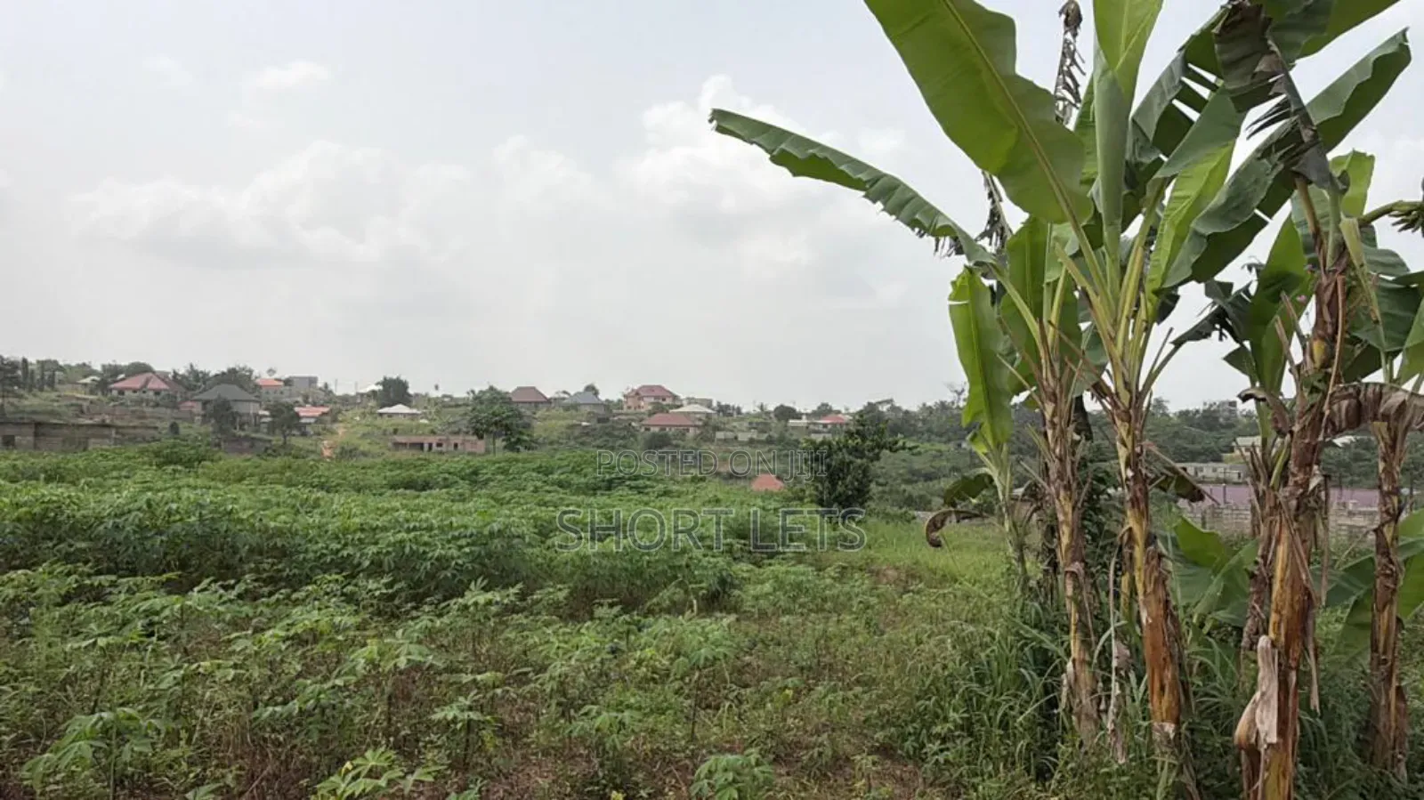 Land in Media, Samsam