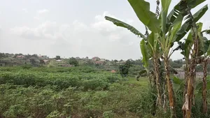 Land in Media, Samsam