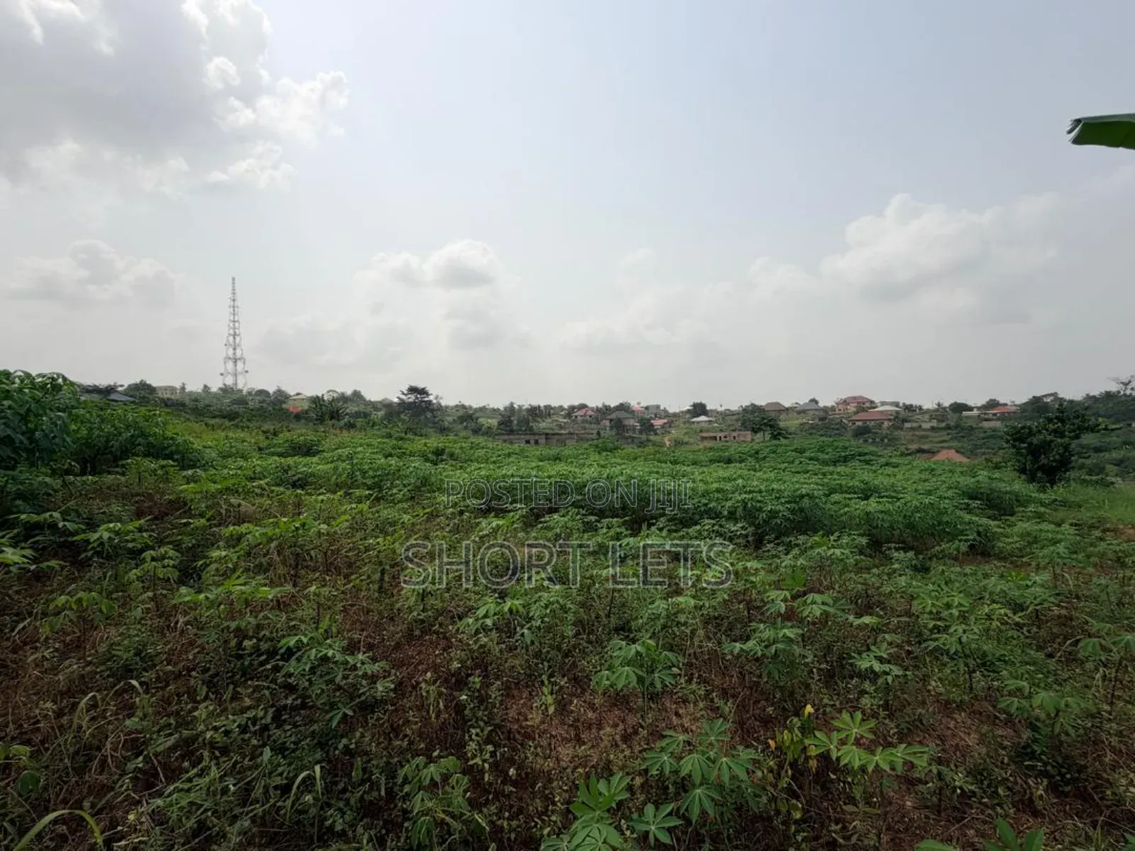 Land in Media, Samsam