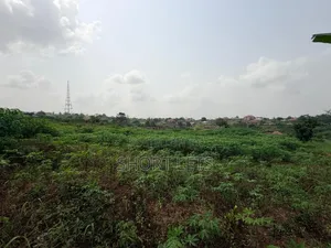 Land in Media, Samsam