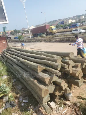 Treated Electricity Standard Poles