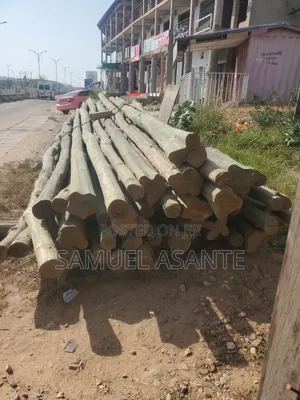 Treated Electricity Standard Poles