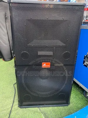 Powered Speaker With 2 Microphone