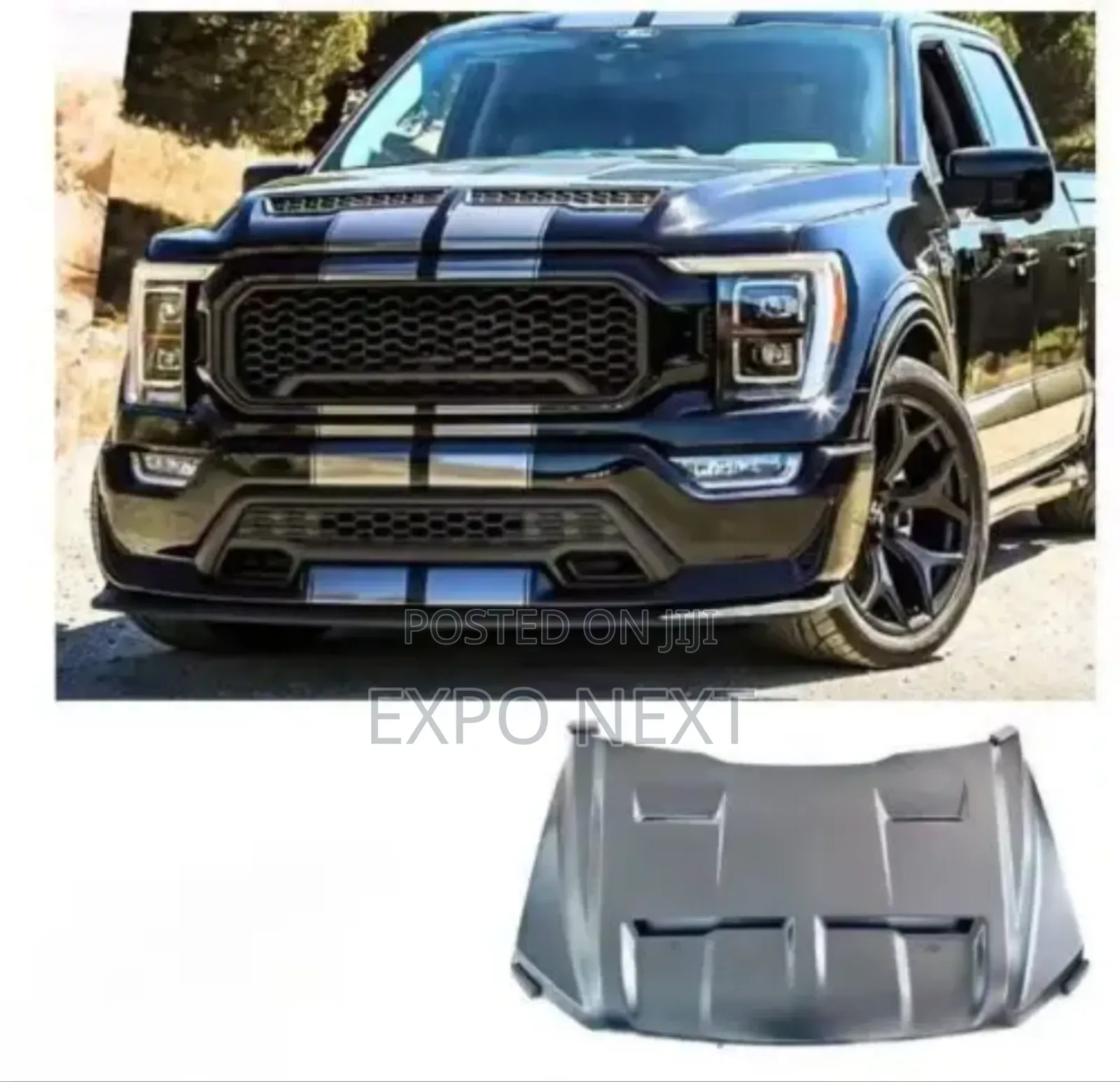 Ford F-150 2021-2023 Bonnet Ace Hood