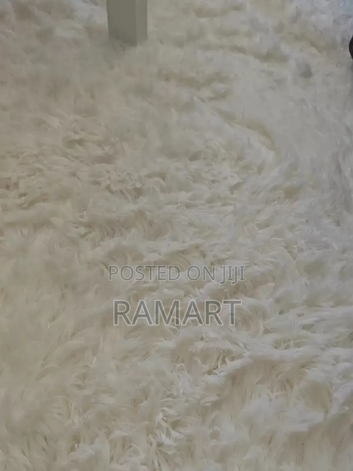 Fluffy Carpet