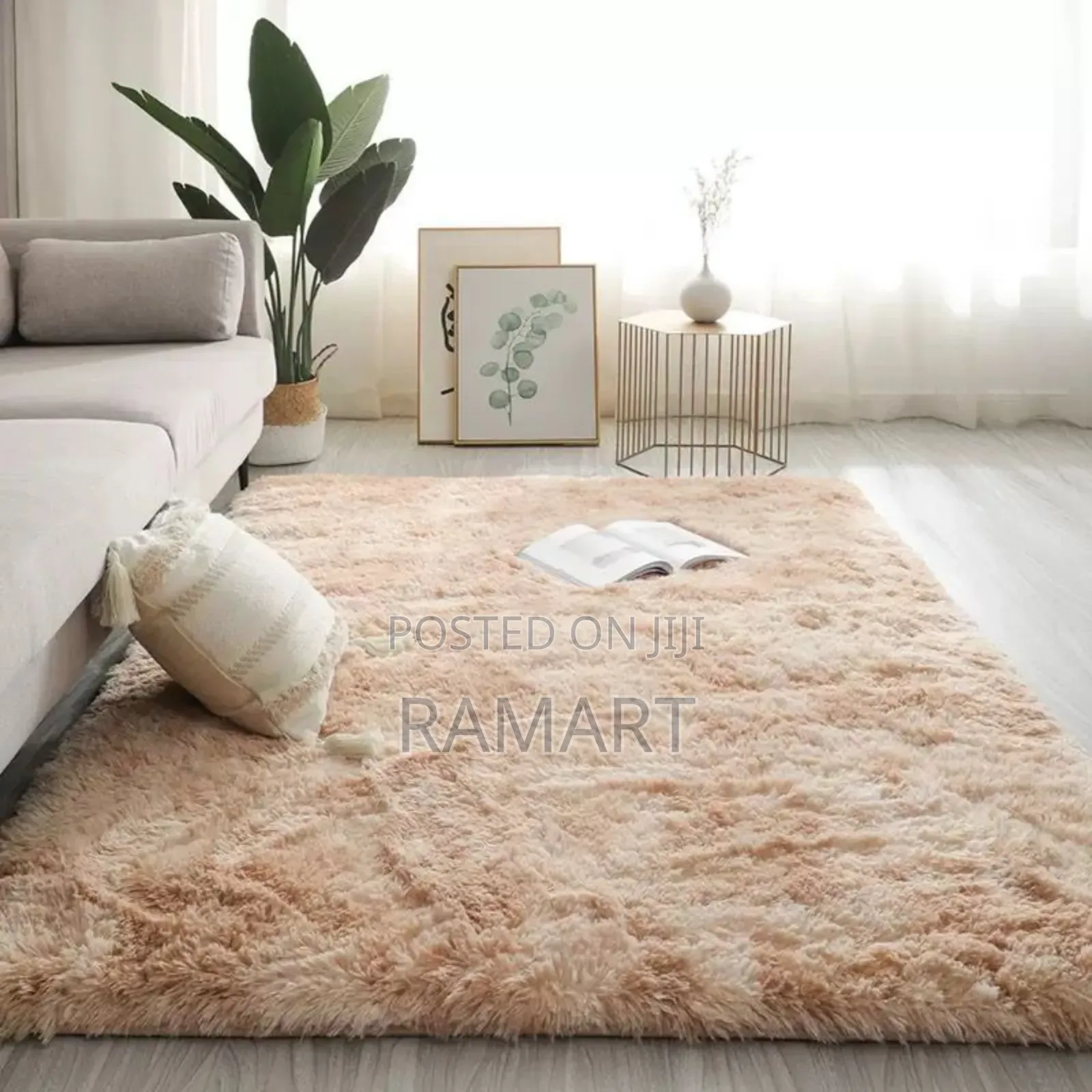 Fluffy Carpet