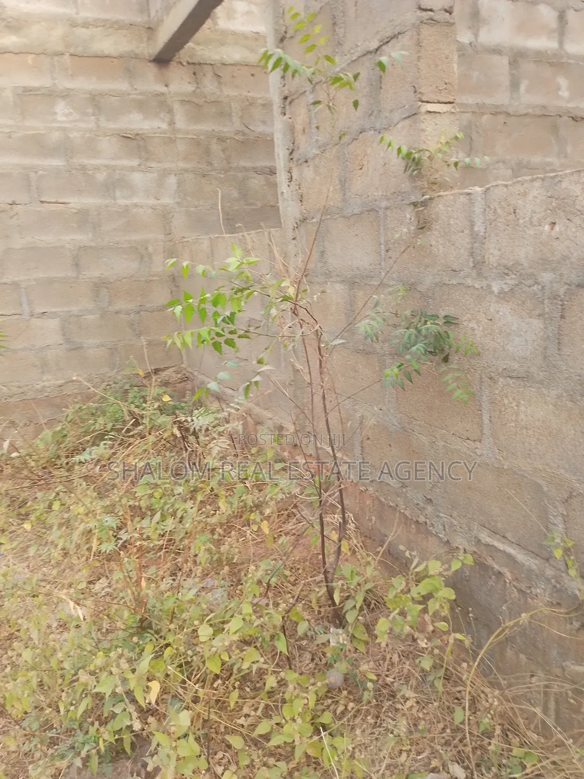 5bdrm House in Shalom Real Estate, Tamale Municipal for sale
