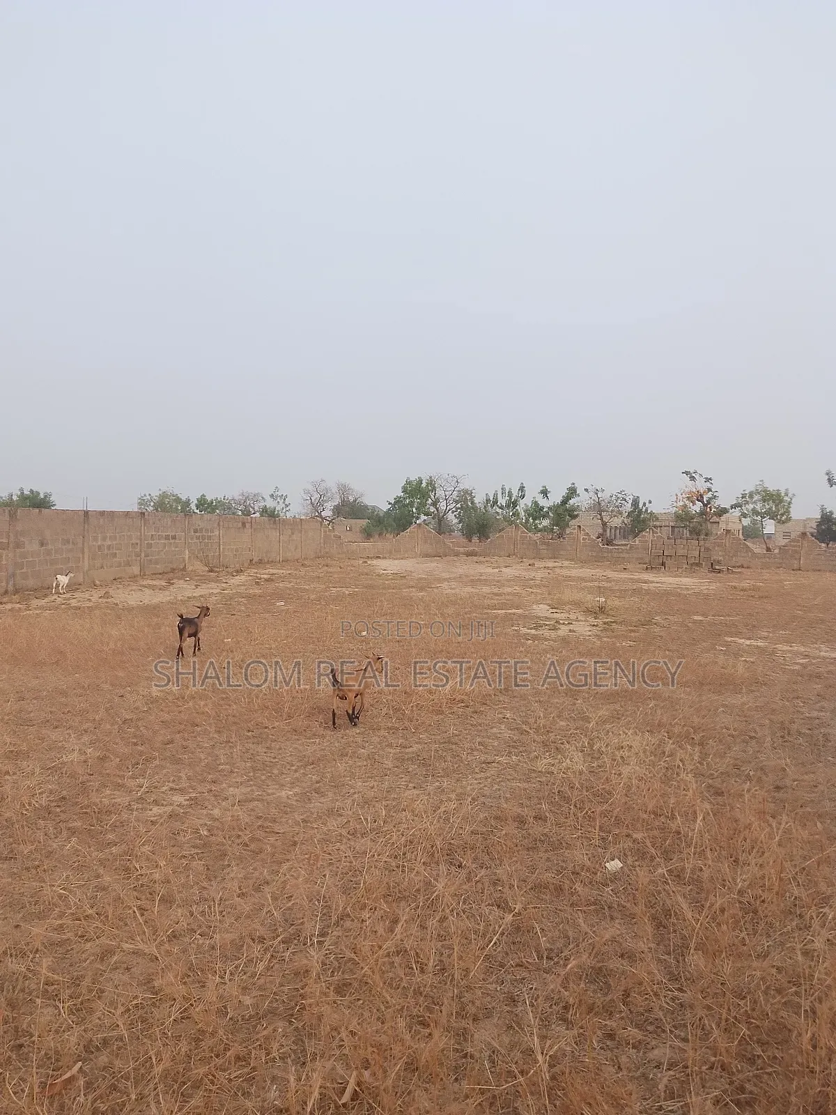 5bdrm House in Shalom Real Estate, Tamale Municipal for sale