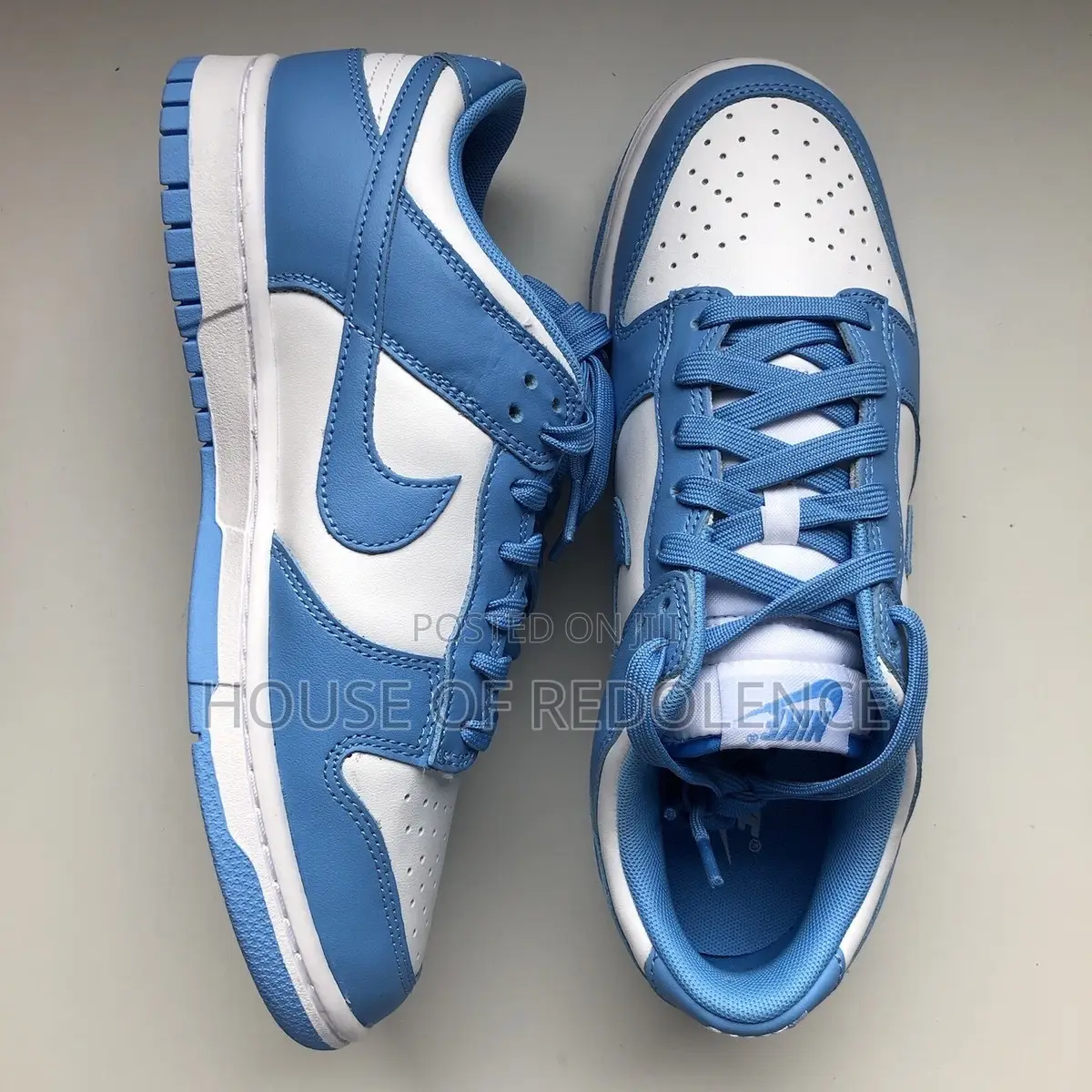 Nike Dunk Low Coast Sneakers