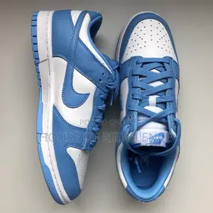 Nike Dunk Low Coast Sneakers