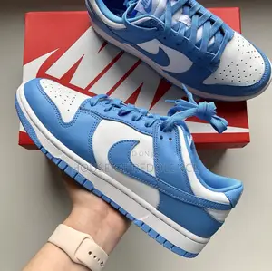 Nike Dunk Low Coast Sneakers