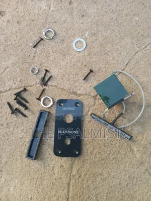 Active Control System Cv21o E Violin Amp