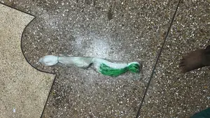 Cucumber Nets
