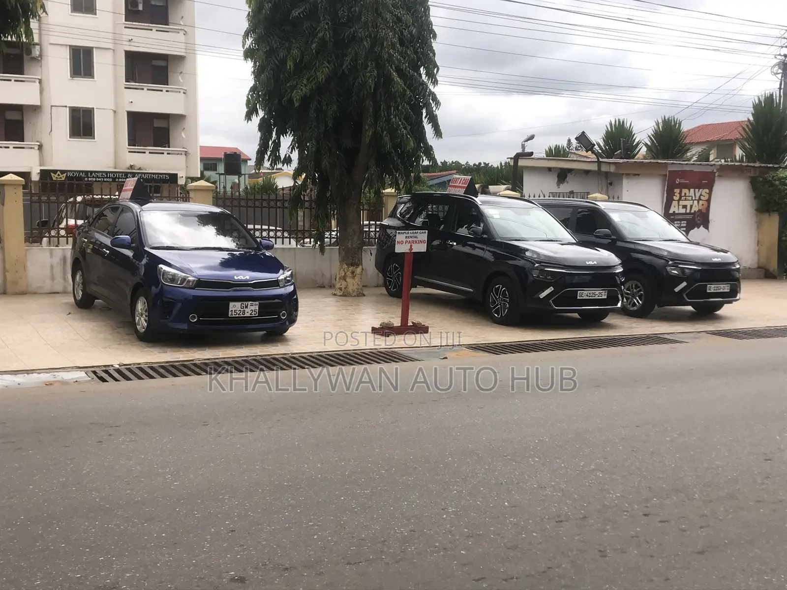 Car Rentals
