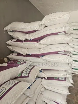 Sankofa Feed (Grower)