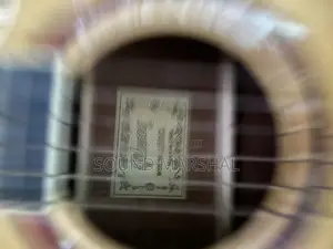 Gibson Acoustic Guitar