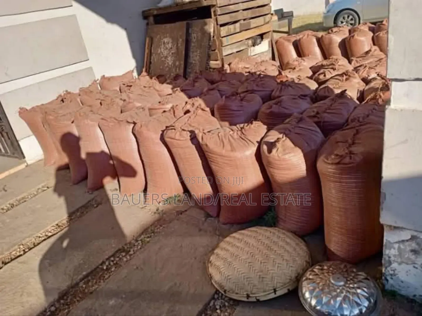 Beans Available (120kg A Bag)