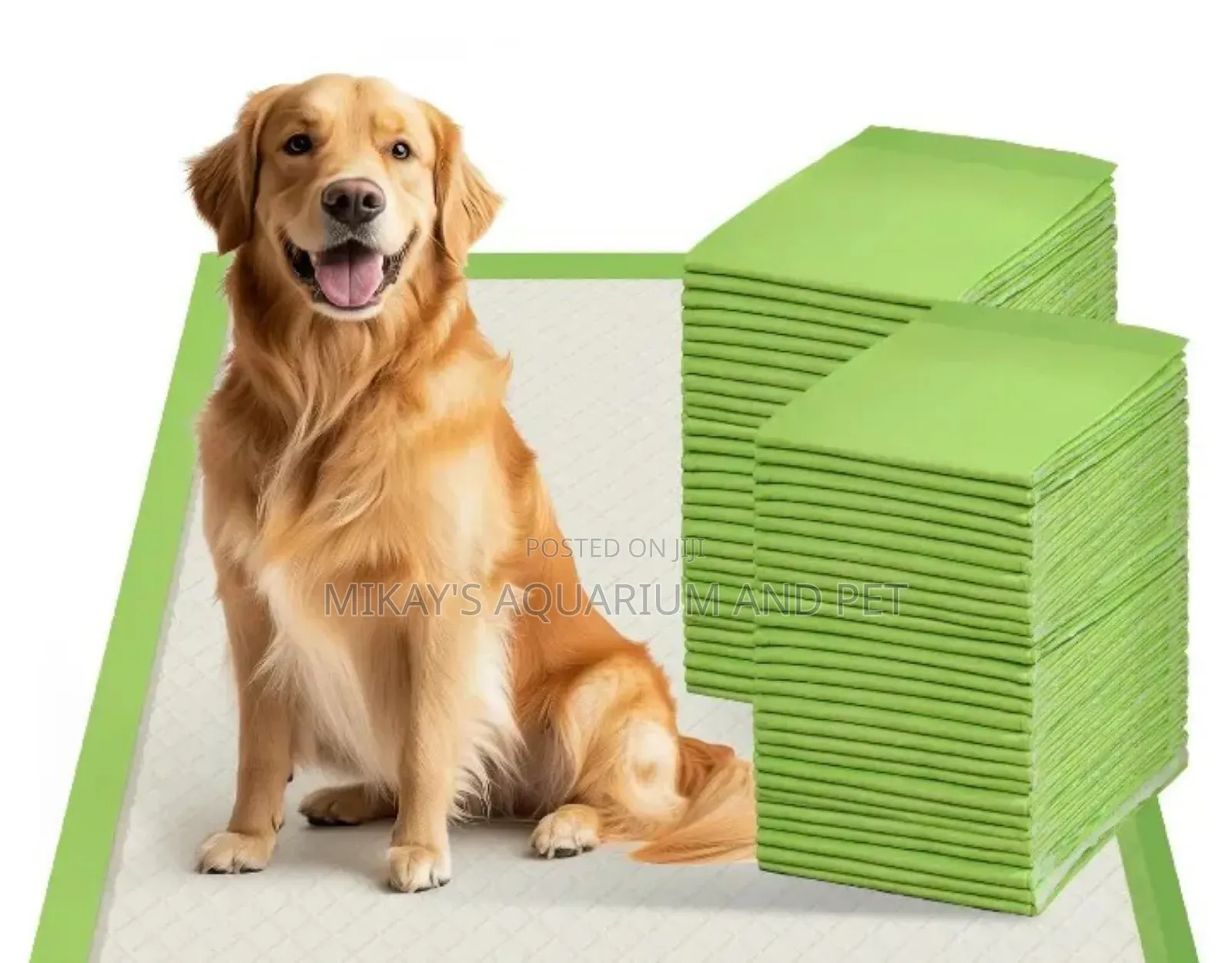 Training Pads for Dogs and Cats