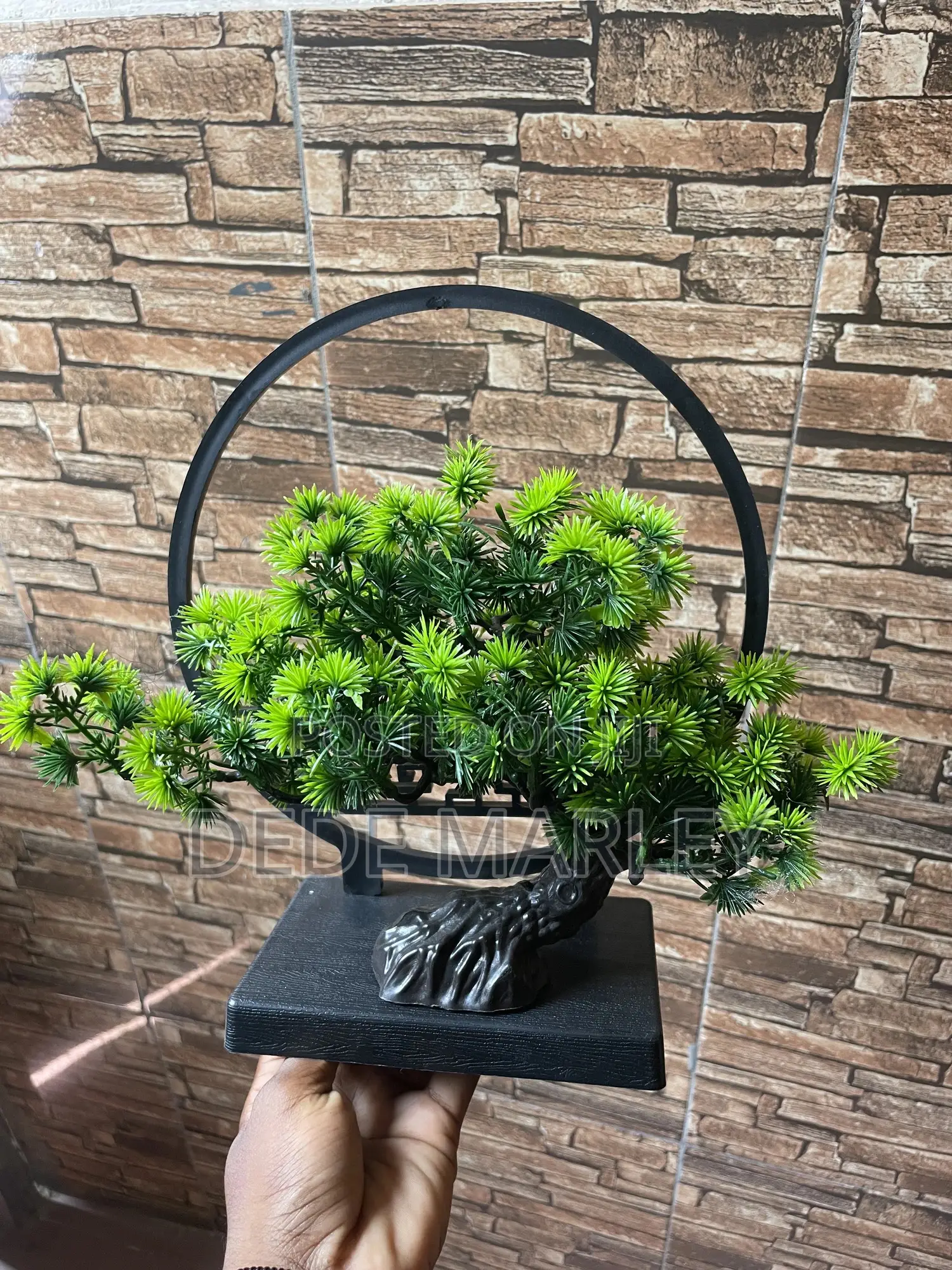 Deco Plant