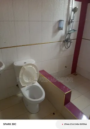 2bdrm Apartment in Ultimate Estate, Achimota for rent