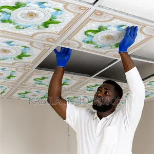 Modern Ceiling Installation