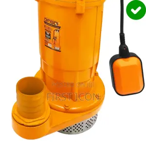 2-Inch, 1hp Stainless Steel Submersible Clean Water Pump - Dingqi