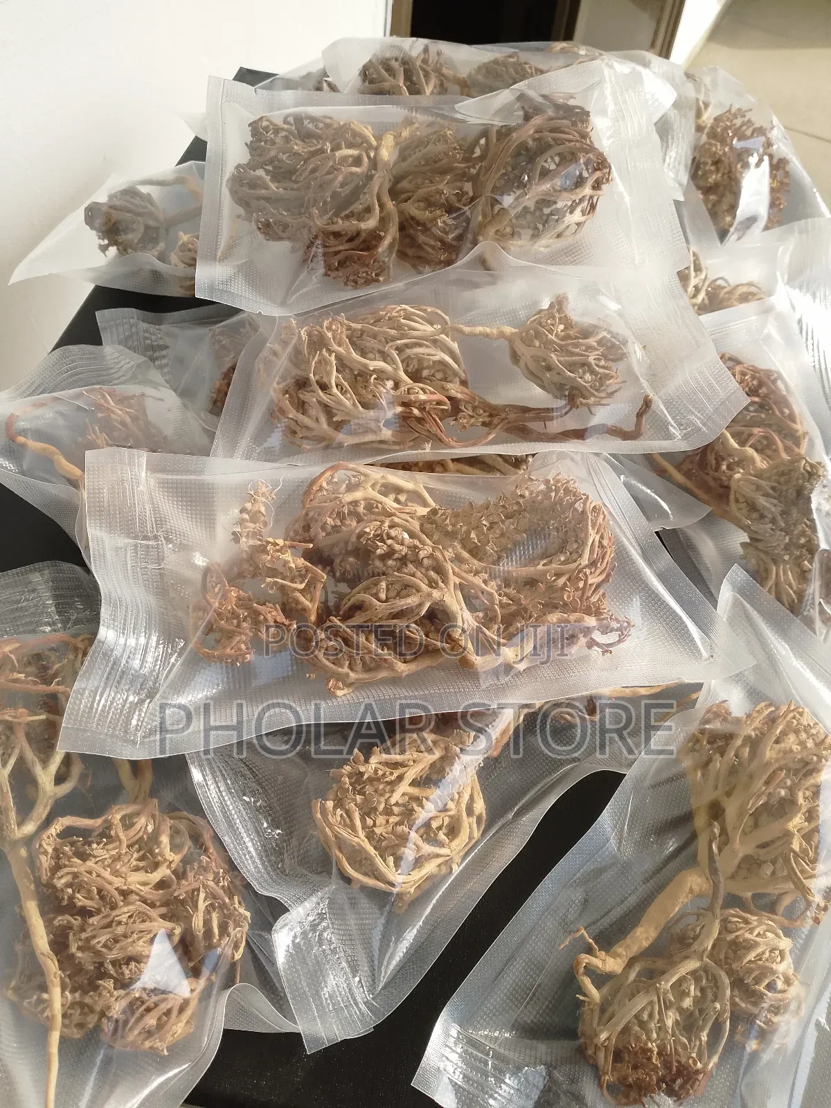 Rose Of Jericho Plant