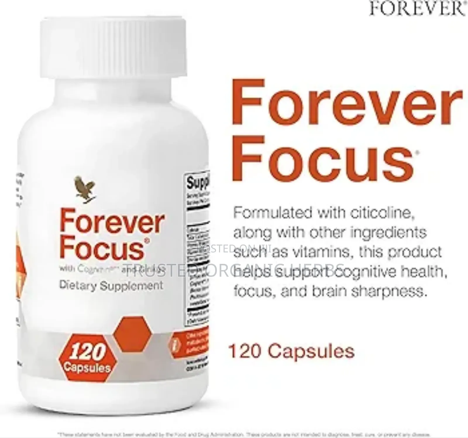 Brain Booster Natural Treatment - Forever Focus
