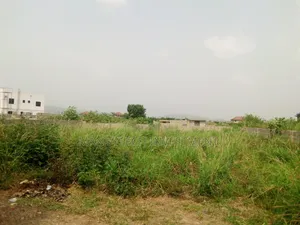 Your Favourite Land - Oyarifa