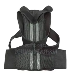 Pain Free Back Support