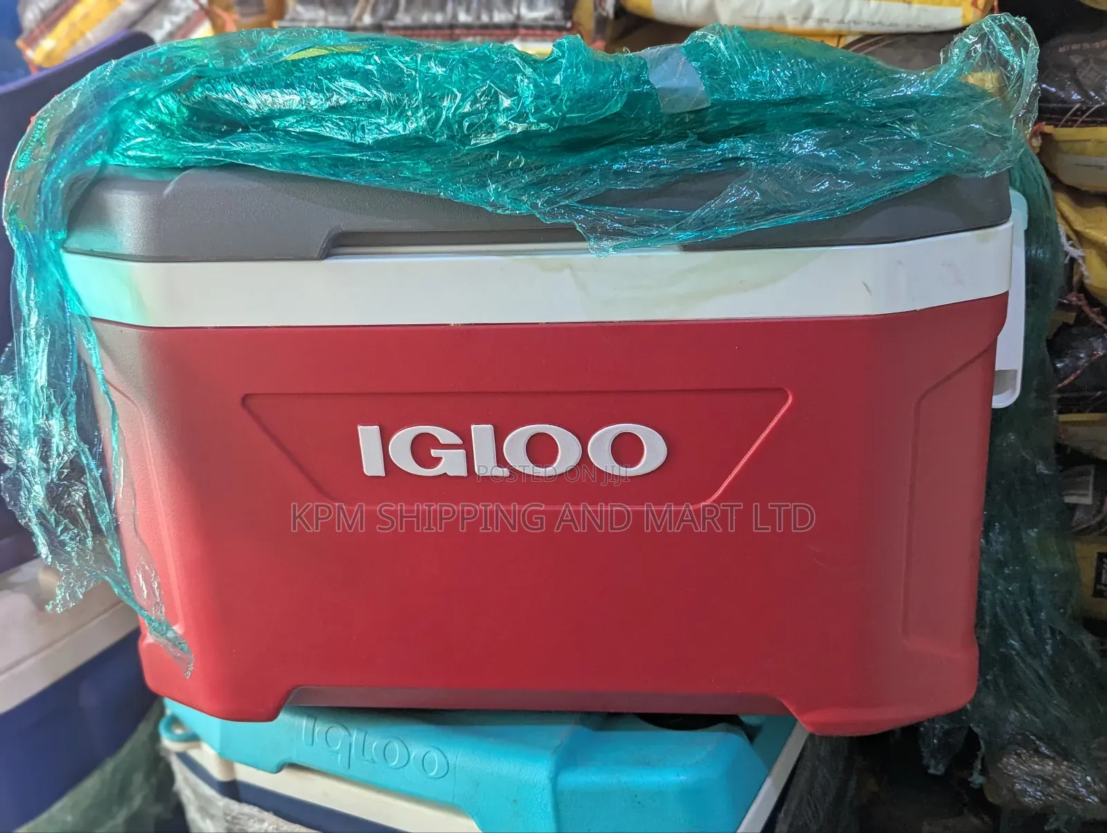 Igloo Ice Chest (52qt 49l)