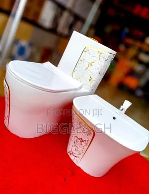 White and Gold Wc With Basin Set