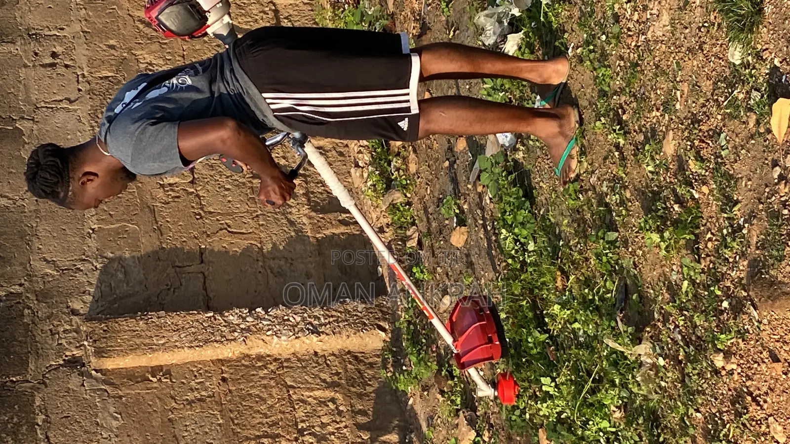 Professional Grass Cutting and Garden Works