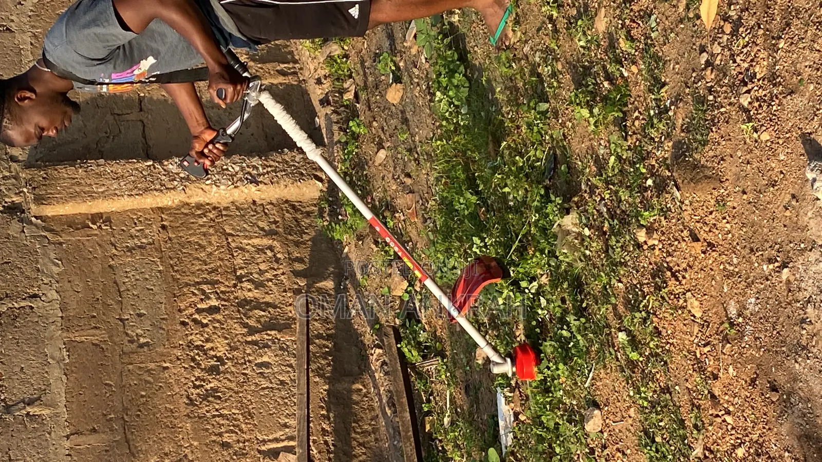 Professional Grass Cutting and Garden Works