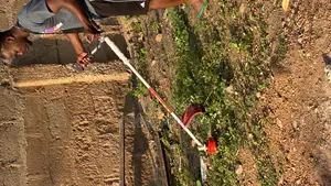 Professional Grass Cutting and Garden Works